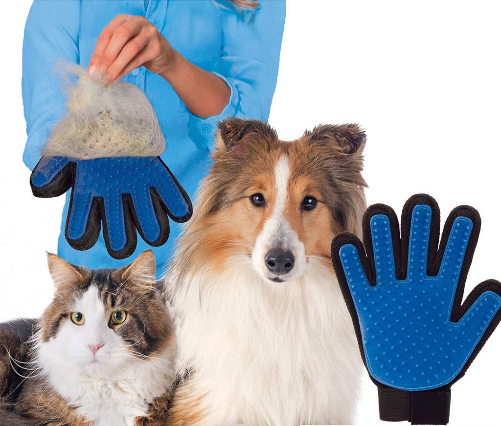 6 true touch