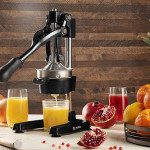 Professional Juicer Преса за цедење цитрусно овошје