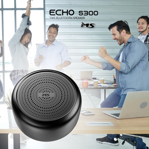 s300 11