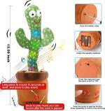 кактус 11
