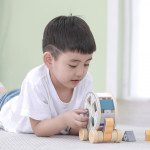 polarb by viga drvena igrachka ezhe za sortiraњe 12