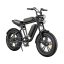 engwe m20 750w czrn