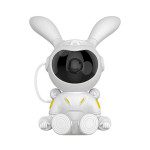 moon bunny