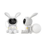 moon bunny 2