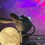 moon bunny 4