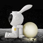 moon bunny 6