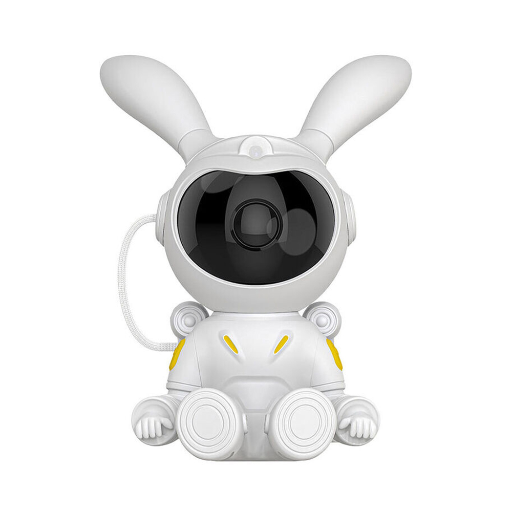 moon bunny