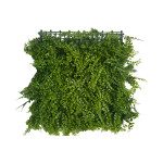 Tons Garden Декоративна трева 50 х 50 (11819)