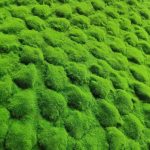 Tons Garden Декоративна трева 100 х 100 (11836)