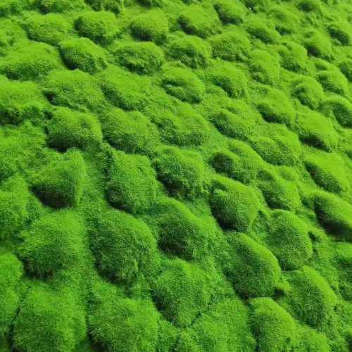 Tons Garden Декоративна трева 100 х 100 (11836)
